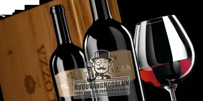 Rượu vang Ý Plozza cao cấp