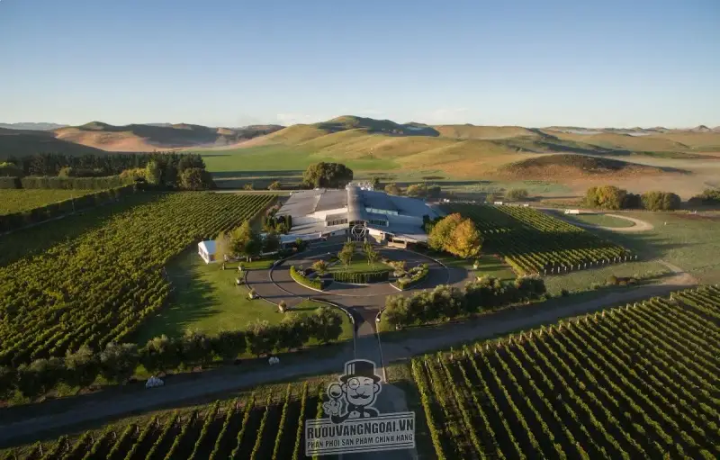 Vang NEW ZEALAND SILENI PINOT NOIR EXCEPTIONAL