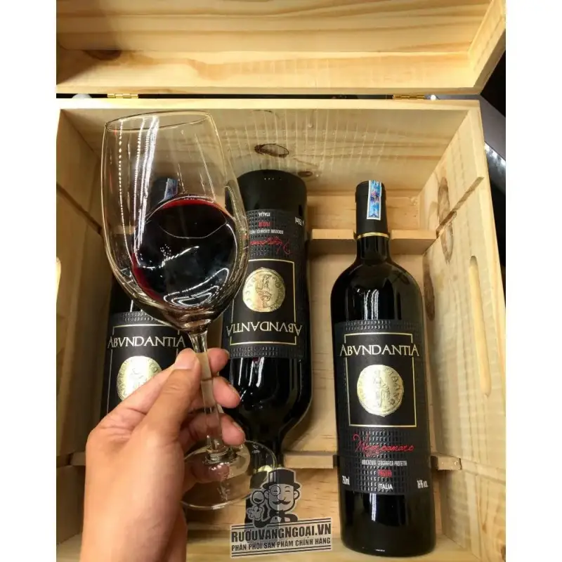 vang-y-16-do-abvndantia-negroamaro-puglia