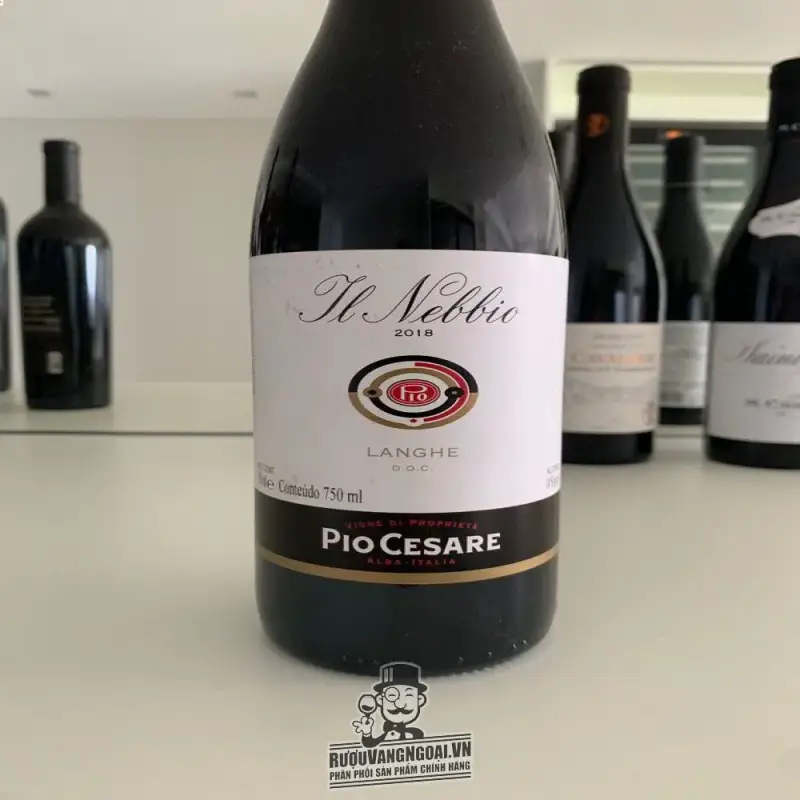 Mua ruou vang y y pio cesare il nebbio langhe giá rẻ tại Sài Gòn