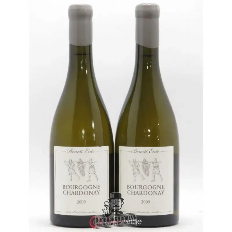 Vang Pháp Bourgogne Chardonnay Benoit Ente thượng hạng