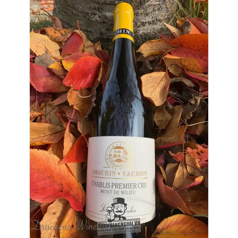 Vang Pháp Joseph Drouhin Chablis Cru Montmains