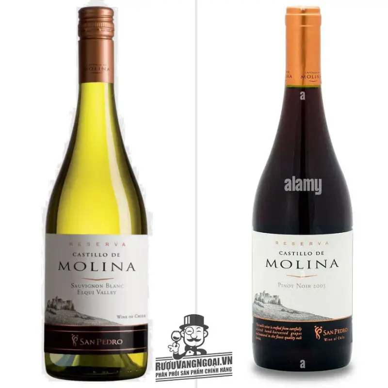 Vang Chile Castillo de Molina San Pedro Reserva Đỏ - Trắng