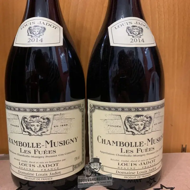 Địa chỉ bán vang phap chambolle musigny les fuees louis jadot giá rẻ tại Sài Gòn