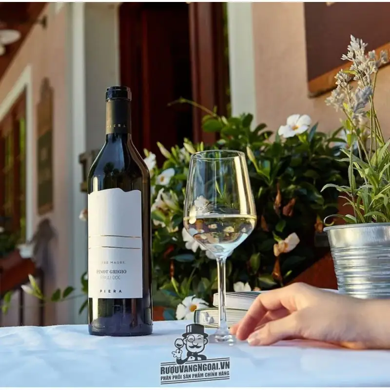 Giá ruou vang do chat pinot nero friuli