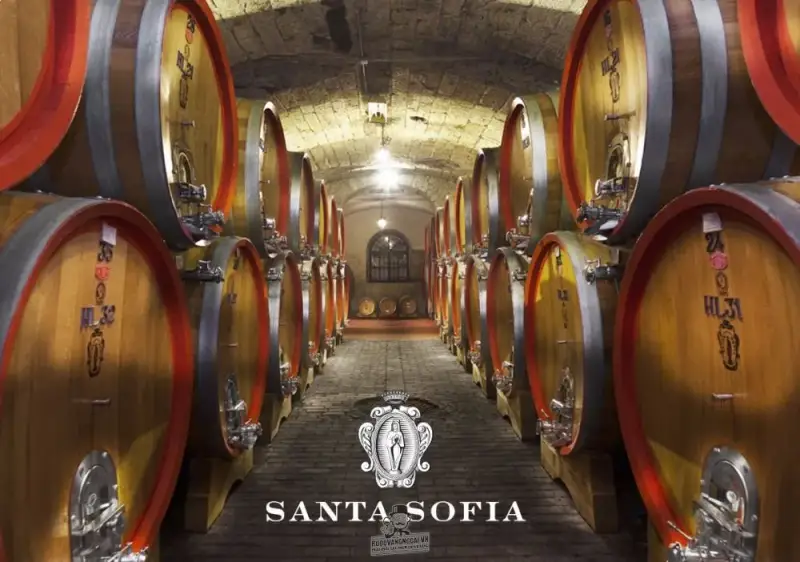 Vang Ý Santa Sofia Gioe Amarone Classico