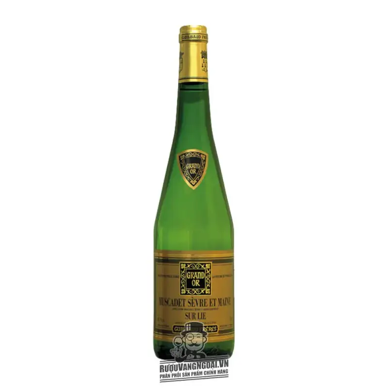 Vang Pháp Muscadet Sevre Et Maine Sur Lie Guilbaud Freres uống ngon