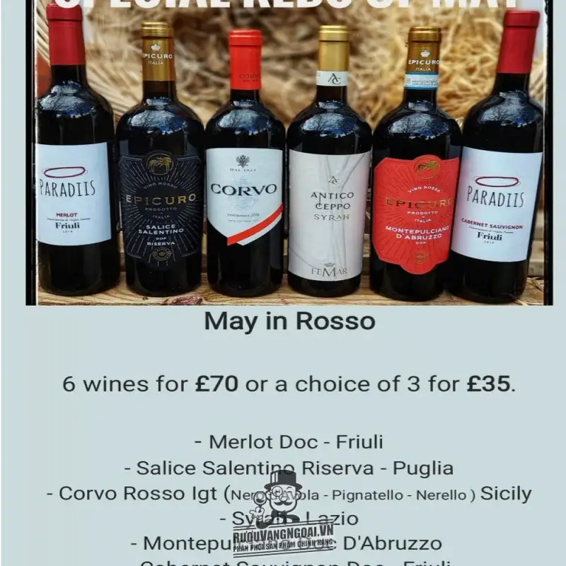 ruou vang y epicuro montepulciano d abruzzo d o p giá bao nhiêu