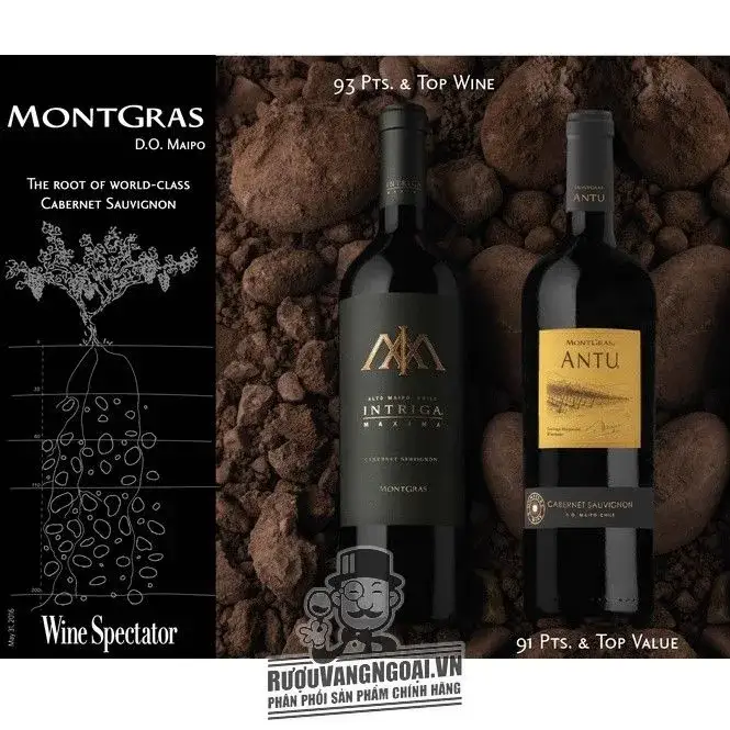 Vang Chile MontGras INTRIGA MAXIMA