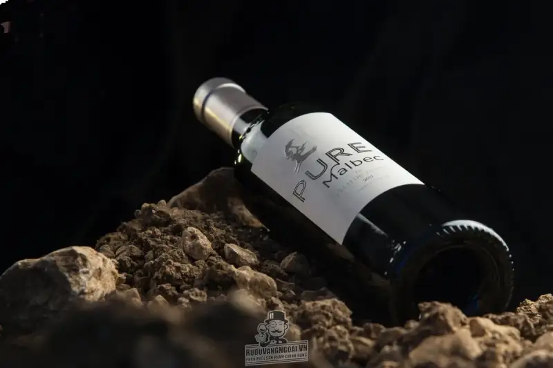 Vang Pháp CHATEAU PECH DE JAMMES PURE MALBEC
