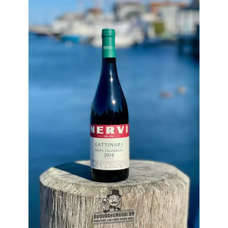 Địa chỉ bán ruou vang y conterno nervi gattinara vigna valferana giá rẻ tại Sài Gòn