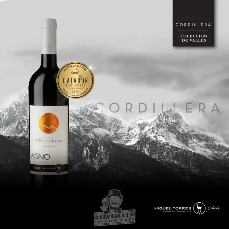 Vang Chile Cordillera Carmenere Migeul Torres