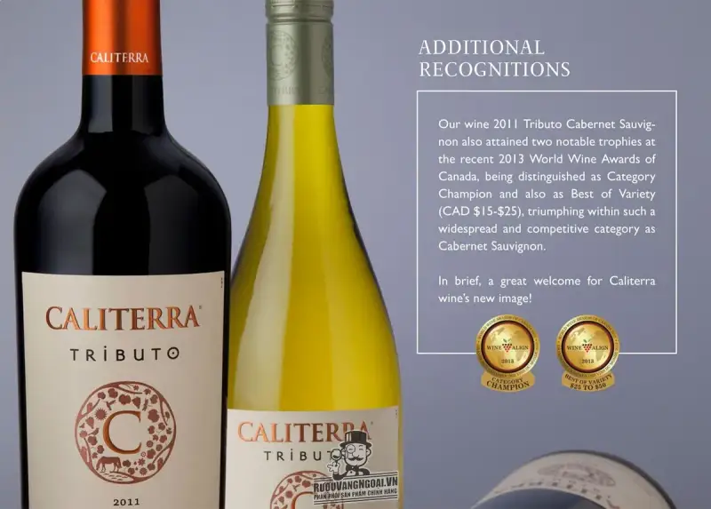 Vang Chile CALITERRA Tributo Sauvignon Blanc