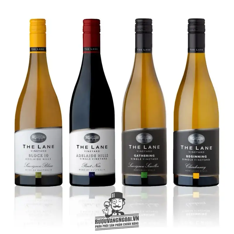 Mua ruou vang beginning the lane vineyard chardonnay chiet khau cao giá rẻ tại Hà Nội