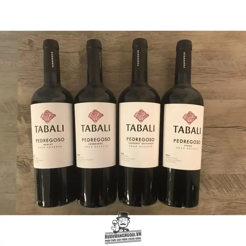 Rượu Vang Chile TABALI PEDREGOSO SYRAH