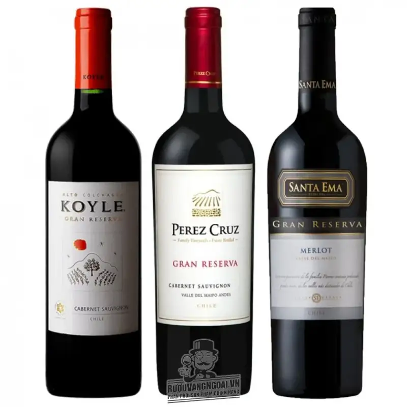 Vang Chile KOYLE GRAN RESERVA CABERNET SAUVIGNON