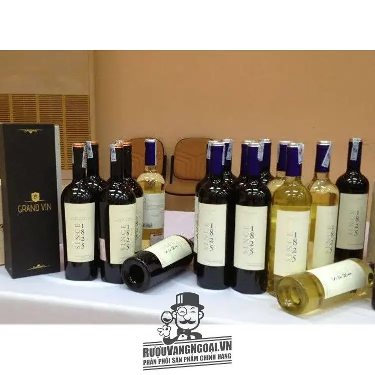 Vang Chile Since 1825 Cabernet Sauvignon