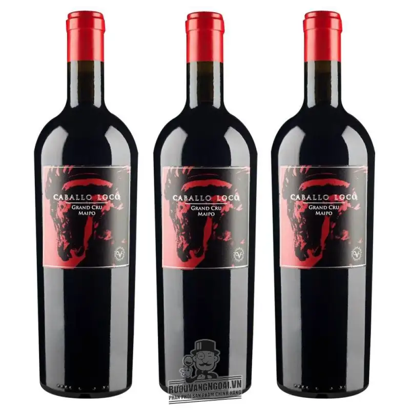 Vang Chile Caballo Loco Grand Cru Maipo Andes
