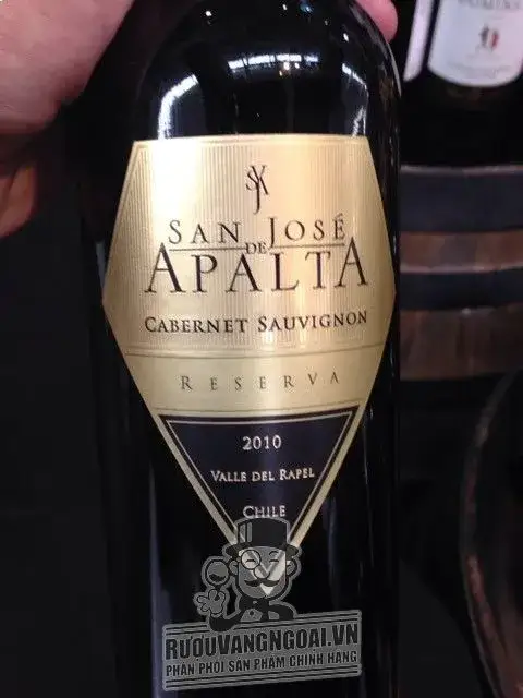 Kết quả hình ảnh cho vang chile apalta cabernet sauvignon
