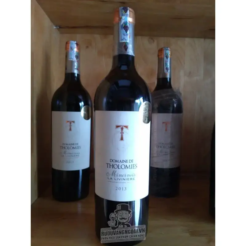 Địa chỉ mua vang phap domaine de tholomies giá rẻ nhất