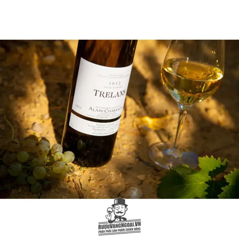 Giá vang phap trelans blanc alain chabanon