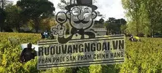 Kết quả hình ảnh cho chateau peyredon lagravette 2016
