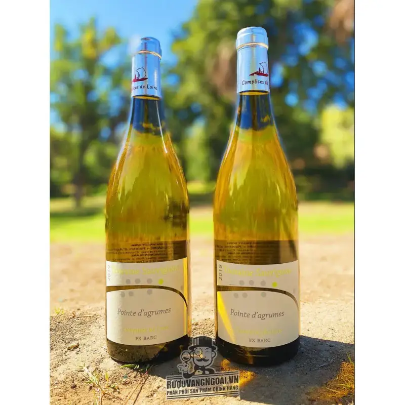 Địa chỉ bán vang phap touraine sauvignon pointe d agrumes complices de loire fx barc giá rẻ nhất