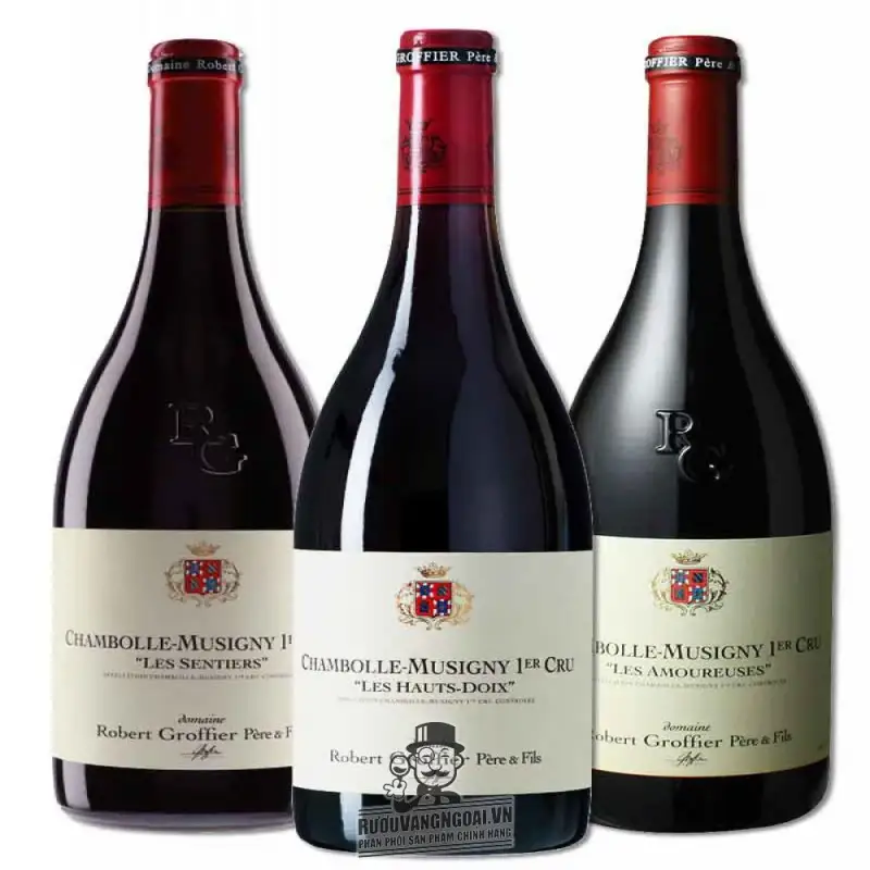 Địa chỉ bán vang phap chambolle musigny les amoureuses robert groffier giá rẻ tại Hà Nội