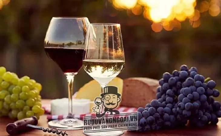 Káº¿t quáº£ hÃ¬nh áº£nh cho vang chile moreno cabernet sauvignon