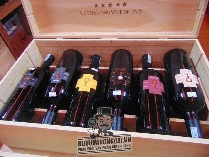 Vang Ý Schola Sarmenti Armentino Rosso Salento