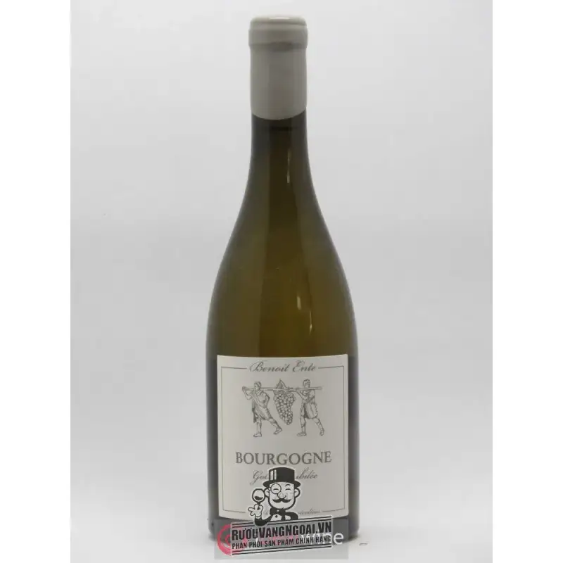 vang phap bourgogne chardonnay benoit ente giá bao nhiêu