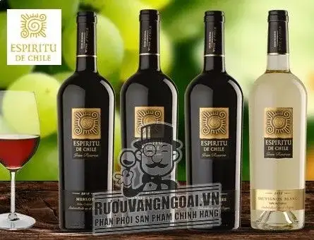 Káº¿t quáº£ hÃ¬nh áº£nh cho espiritu de chile gran reserva cabernet sauvignon
