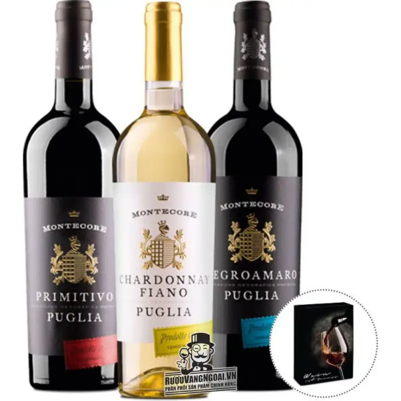 Địa chỉ bán vang y montecore negroamaro igp femar vini giá rẻ tại Hà Nội