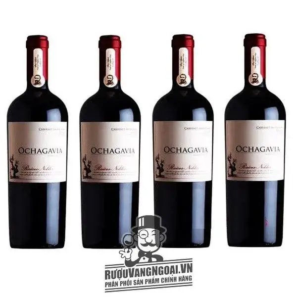 Vang Chile OCHAGAVIA Raice Noble