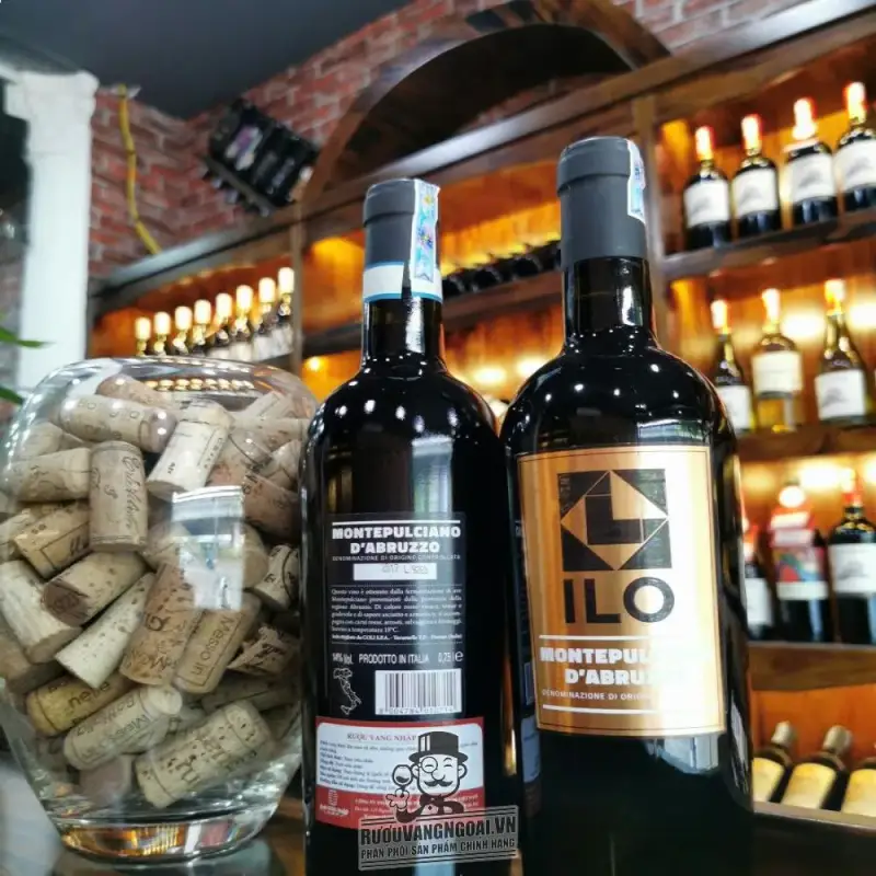 Vang Ý Ilo Montepulciano Dabruzzo Thượng hạng