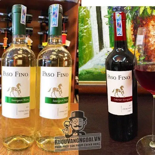 Vang Chile Paso Fino Central Valley Đỏ - Trắng