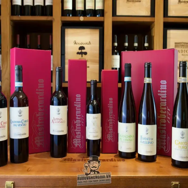 Mua vang y falanghina del sannio mastroberardino giá rẻ tại Hà Nội