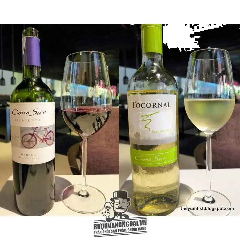 Vang Chile CONO SUR TOCORNAL SAUVIGNON BLANC