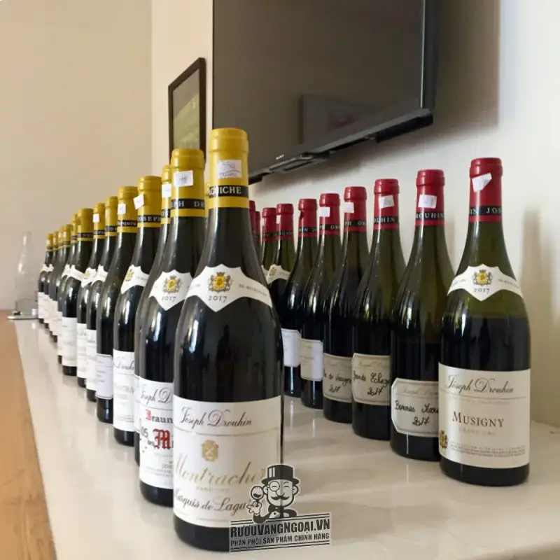 Rượu vang Montagny Premier Cru Joseph Drouhin