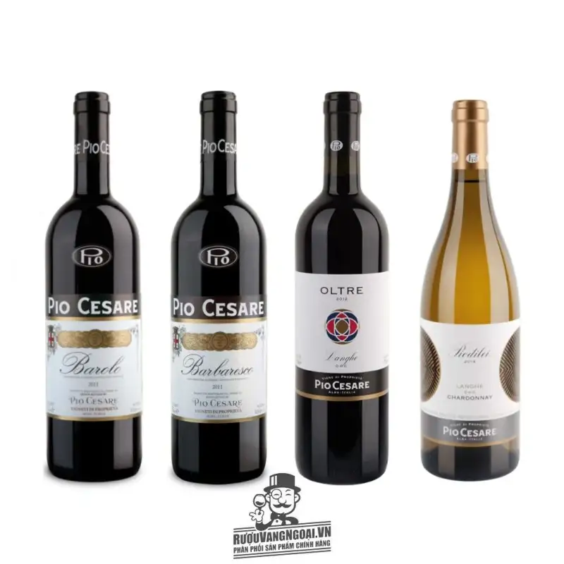vang-y-oltre-pio-cesare-langhe