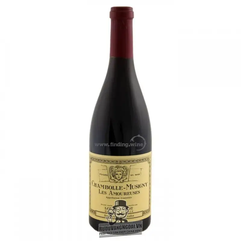 Vang Pháp Chambolle Musigny Les Amoureuses Louis Jadot 2014 cao cấp