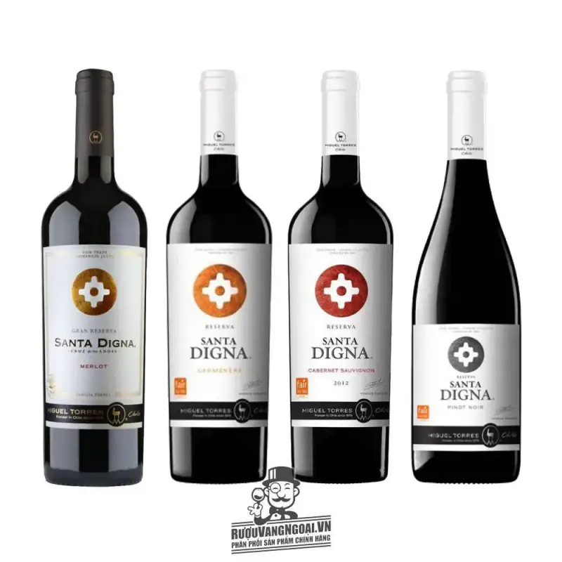 Địa chỉ mua vang chile santa digna pinot noir giá rẻ nhất