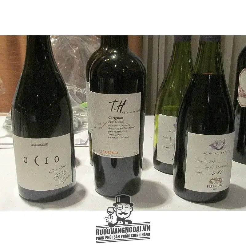 Vang Chile UNDURRAGA TH SYRAH