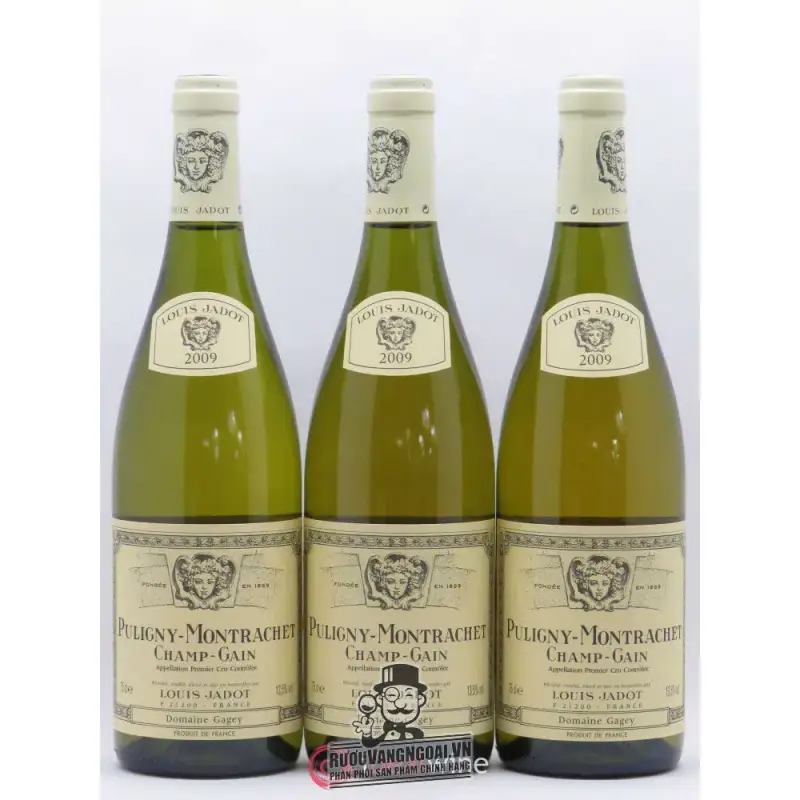 Địa chỉ bán vang phap puligny montrachet les pucelles louis jadot giá rẻ tại Sài Gòn