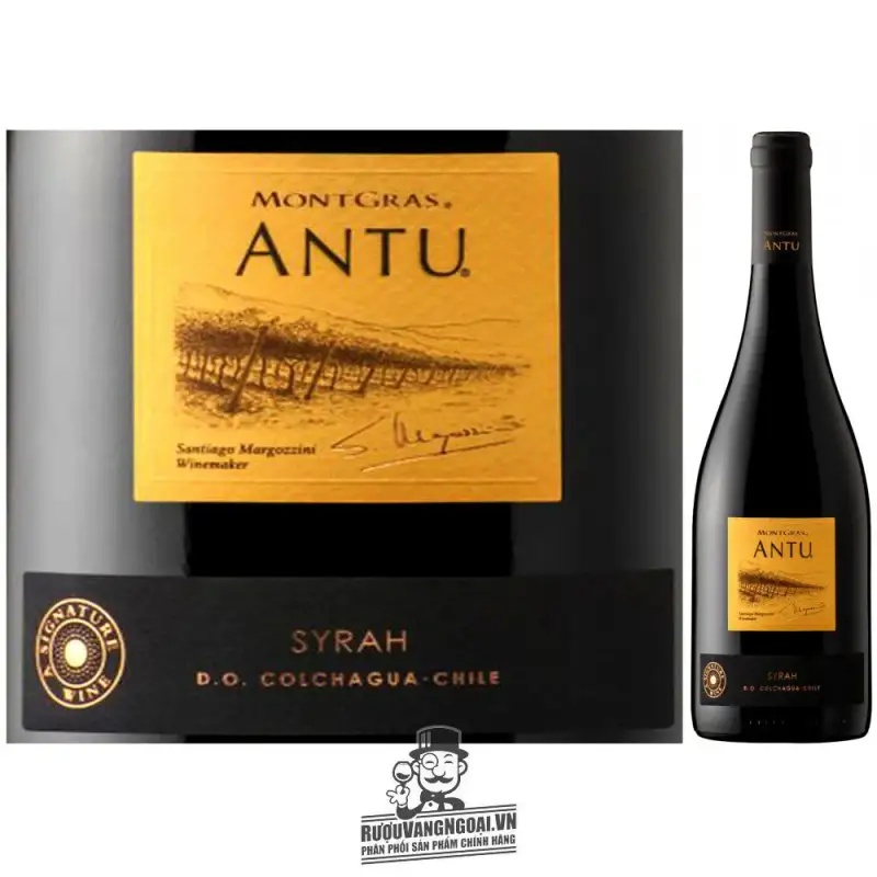 Địa chỉ bán vang chile antu shiraz giá rẻ nhất