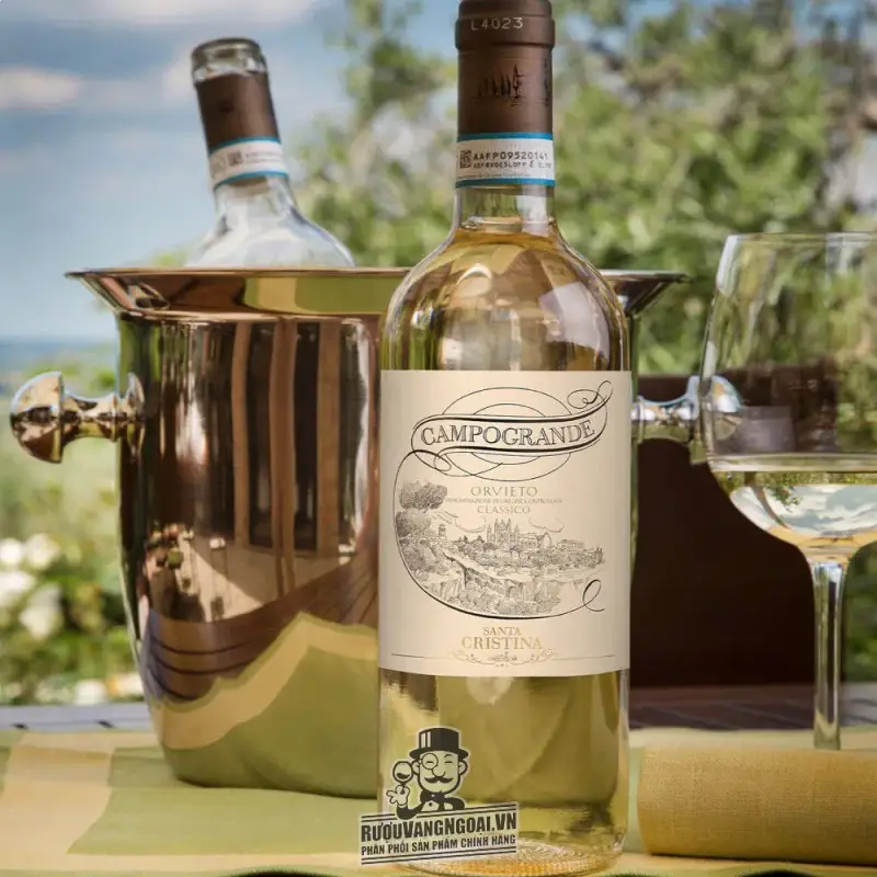 Địa chỉ mua ruou vang y santa cristina campogrande orvieto classico giá rẻ nhất