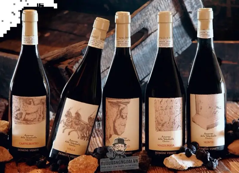 Vang Ý Amarone Mazzurega