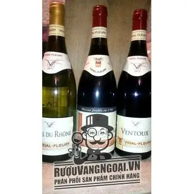 Vang Pháp COTES DU RHONE VIDAL FLEURY