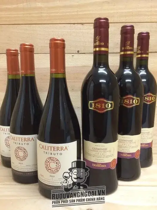 Vang Chile CALITERRA Tributo Syrah
