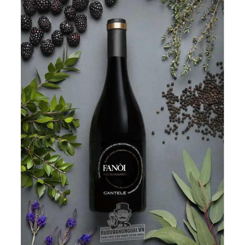 Địa chỉ bán vang y fanoi negroamaro primitivo cantele cao cap giá rẻ tại Sài Gòn